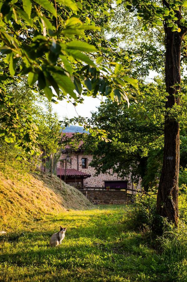 Gorosarri Lejlighed Escoriaza Eksteriør billede